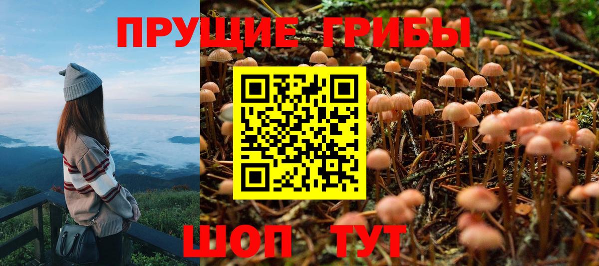 Ухта  Галлюциногенные грибы прущие грибы  Вход с VPN 