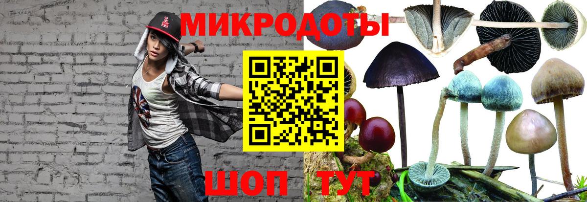 Псилоцибиновые грибы прущие грибы Ухта